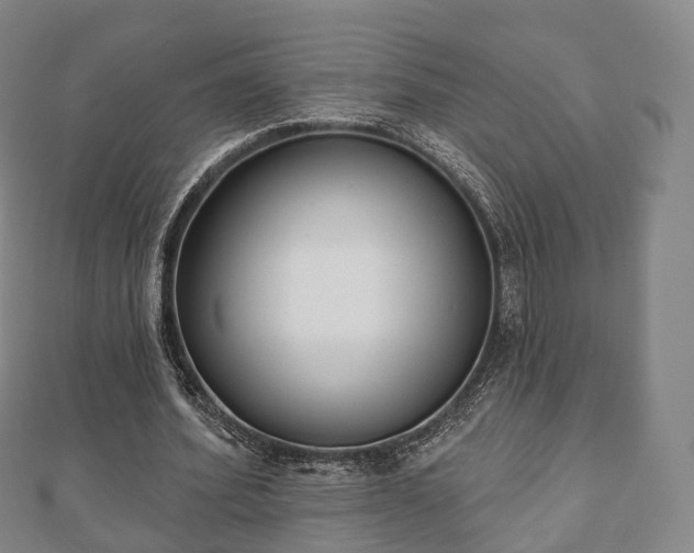 X0000110720580200906191508