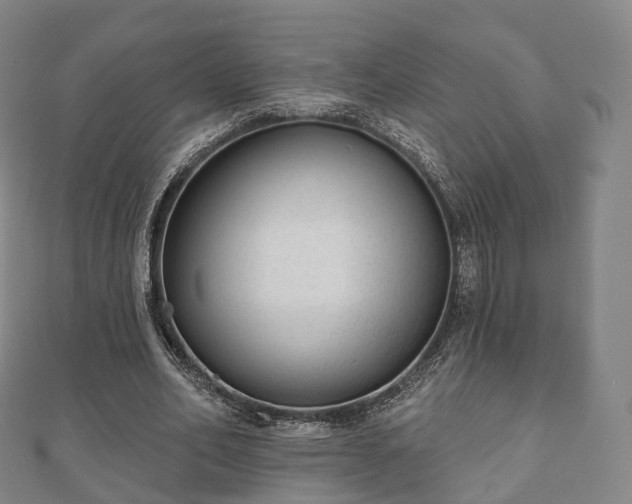 X0000110720582200906191508