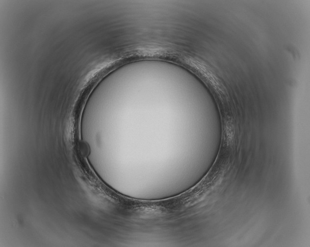 X0000110720583200906191508