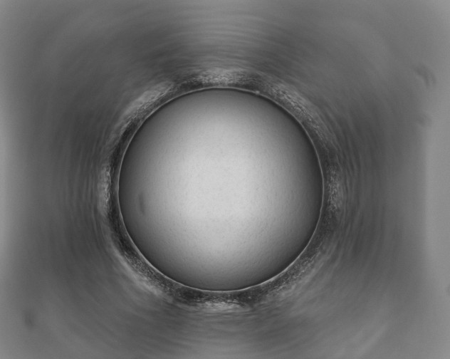X0000110720586200906191507