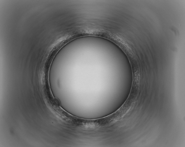X0000110720587200906191507