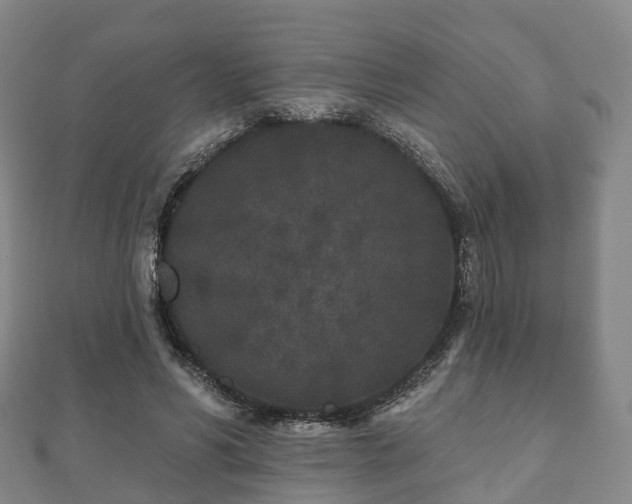X0000110720590200906191507