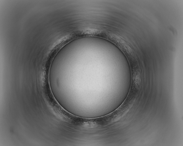 X0000110720591200906191507