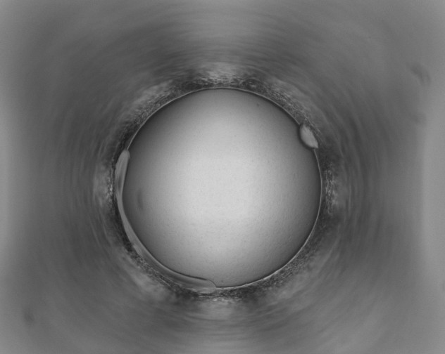 X0000110720593200906191507