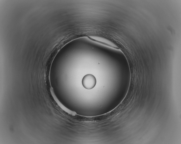 X0000110720595200906191507