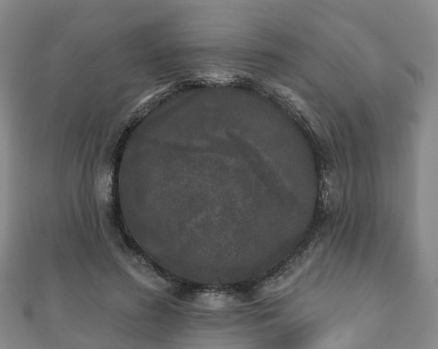X0000110720596200906191507