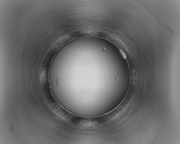 X0000110720597200906191507
