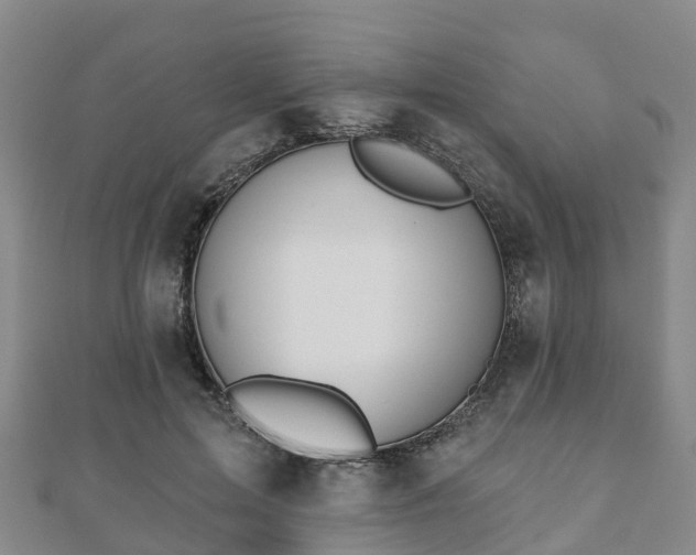 X0000110720599200906191507