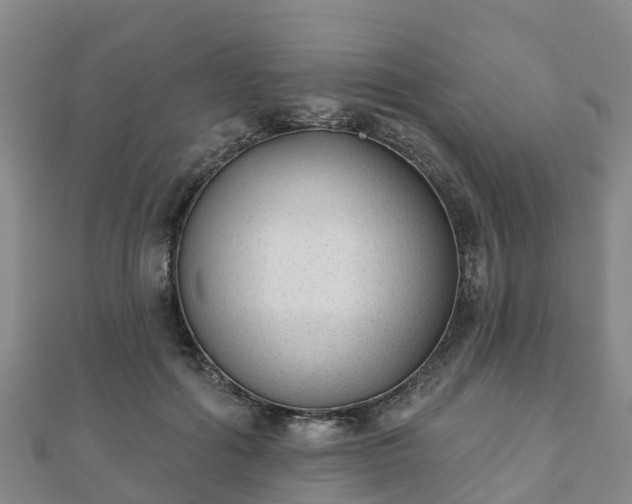 X0000110720602200906191507