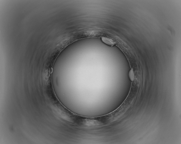 X0000110720605200906191507