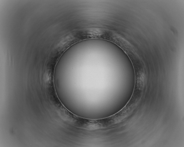 X0000110720608200906191507