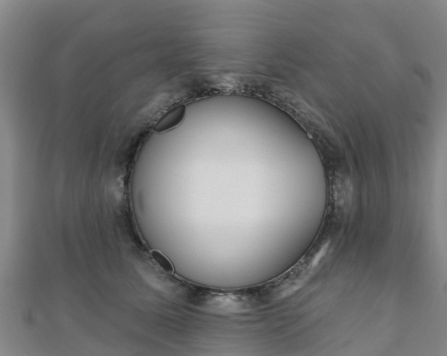 X0000110720611200906191507