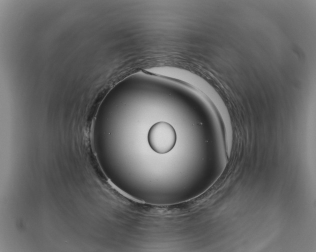 X0000110720613200906191507