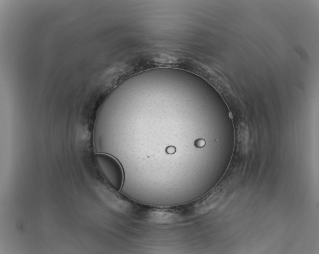 X0000110720614200906191507