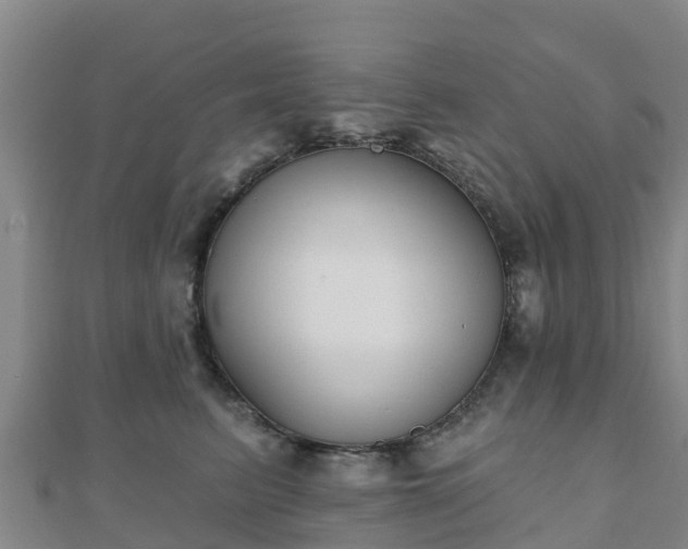 X0000110720615200906191507