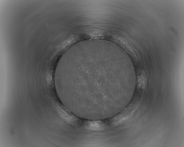 X0000110720618200906191507