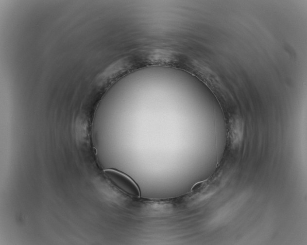 X0000110720619200906191507