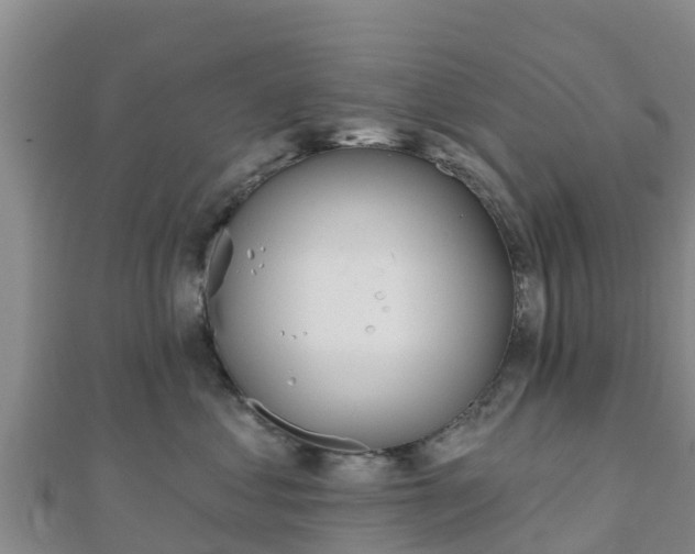 X0000110720621200906191507