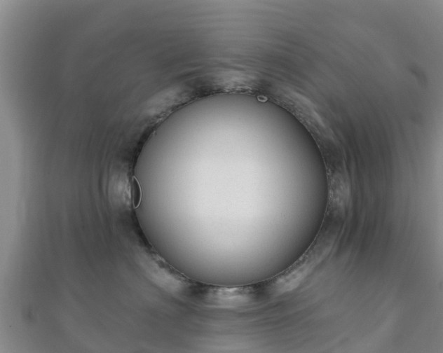 X0000110720622200906191507