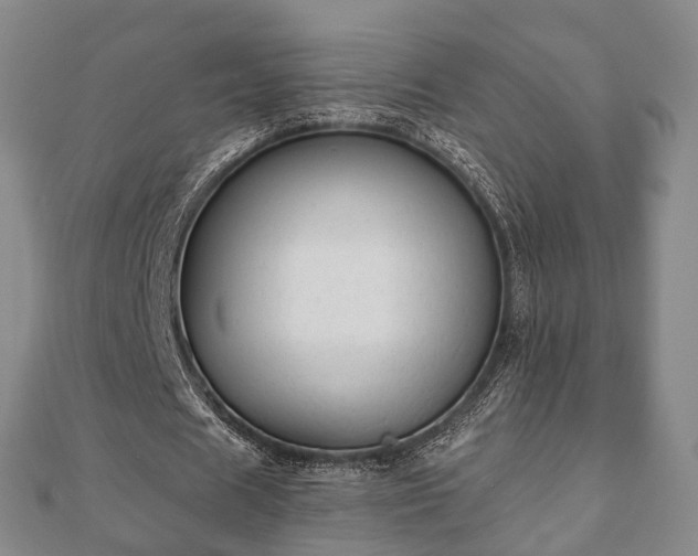 X0000110720625200906191506