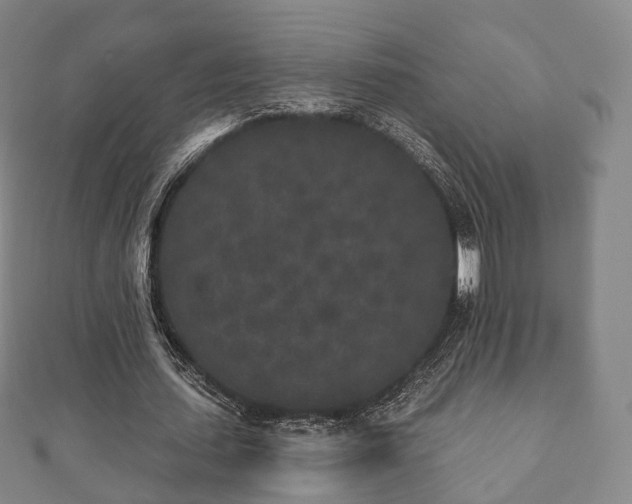 X0000110720627200906191506