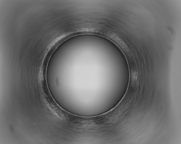 X0000110720628200906191506