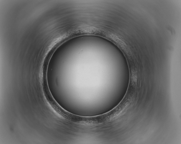 X0000110720630200906191506