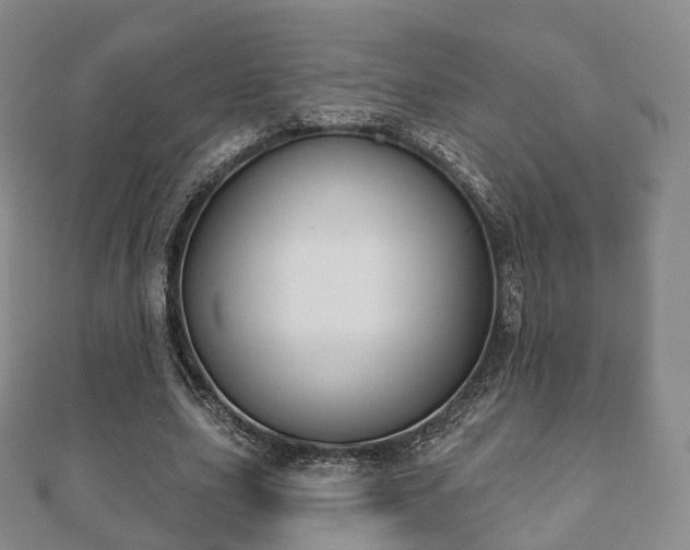 X0000110720631200906191506