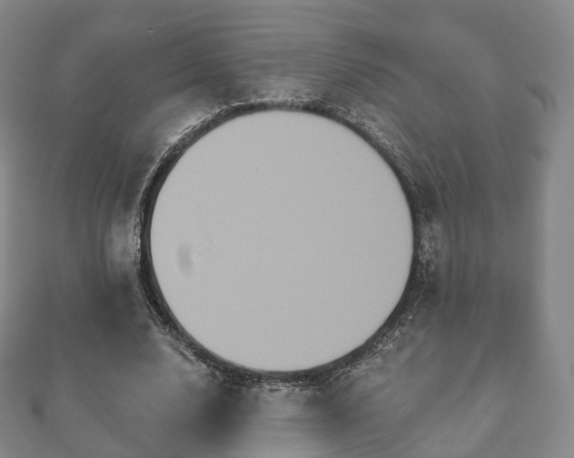 X0000110720632200906191506