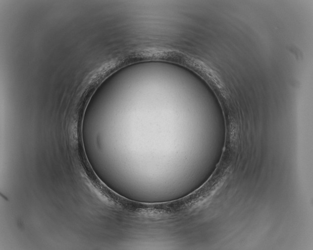 X0000110720633200906191506