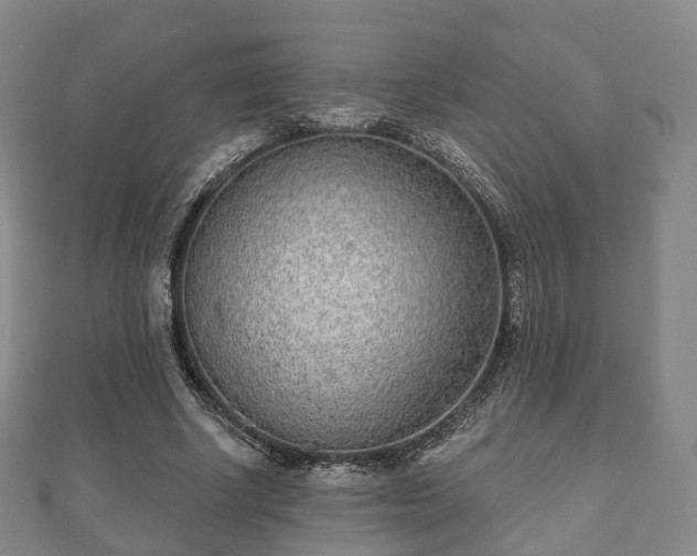 X0000110720634200906191506