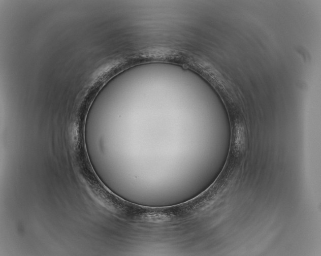 X0000110720636200906191507