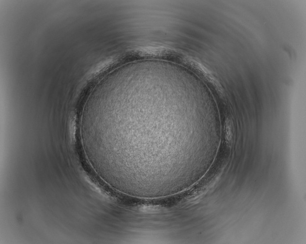 X0000110720637200906191507