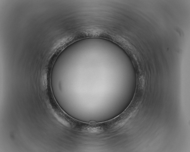 X0000110720638200906191507