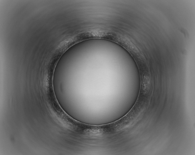X0000110720639200906191507