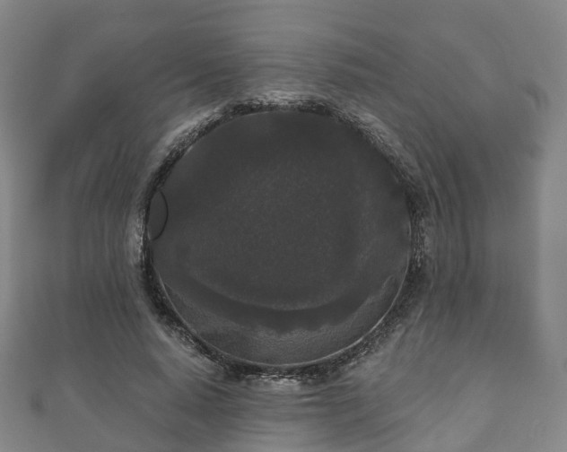 X0000110720640200906191507