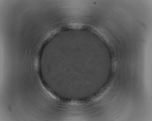 X0000110720641200906191507