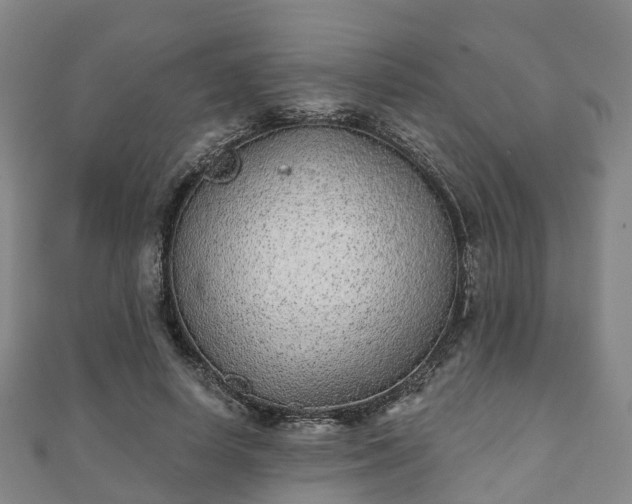 X0000110720642200906191507
