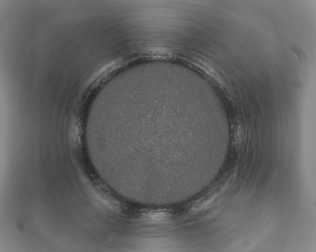 X0000110720643200906191507