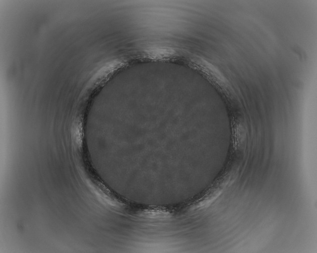 X0000110720644200906191507