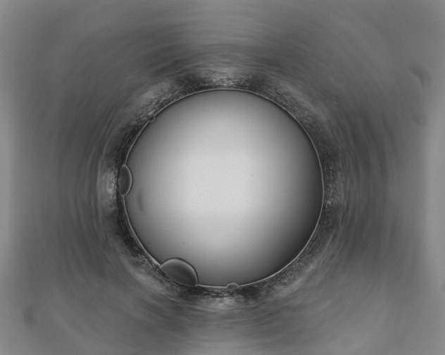 X0000110720646200906191507