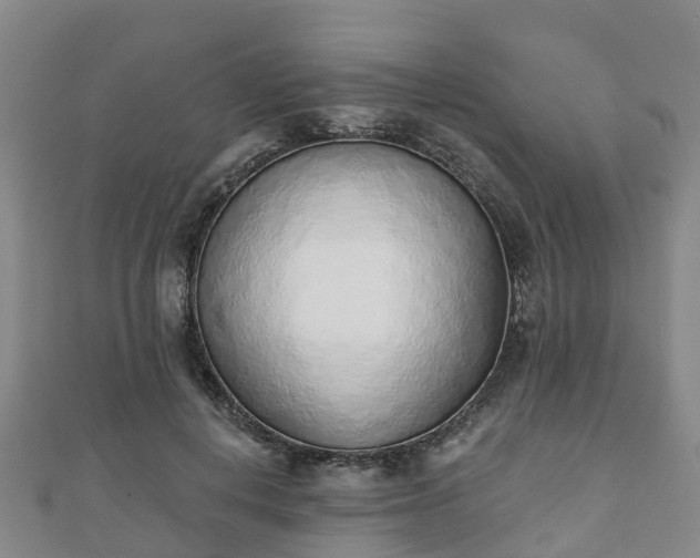 X0000110720648200906191507