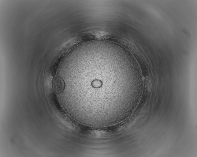 X0000110720650200906191507
