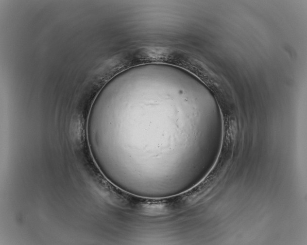 X0000110720651200906191507