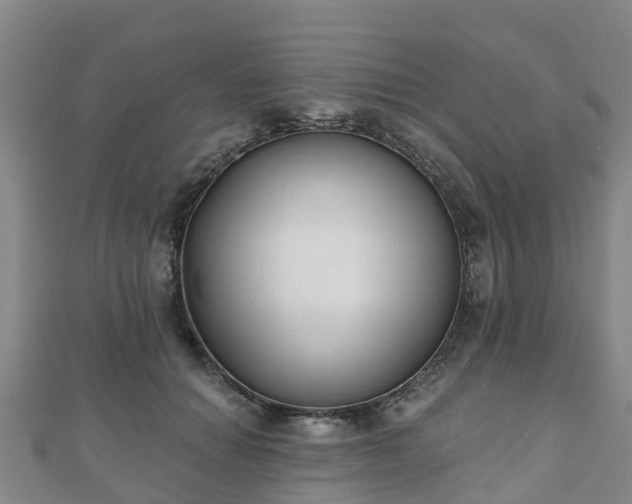 X0000110720654200906191507