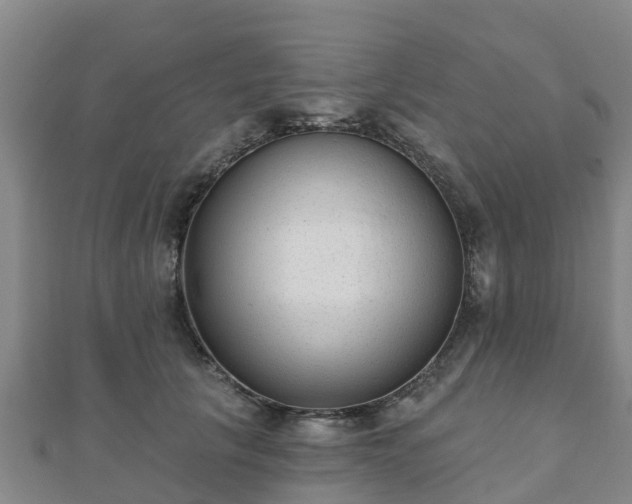 X0000110720657200906191507