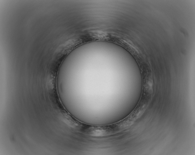 X0000110720658200906191507