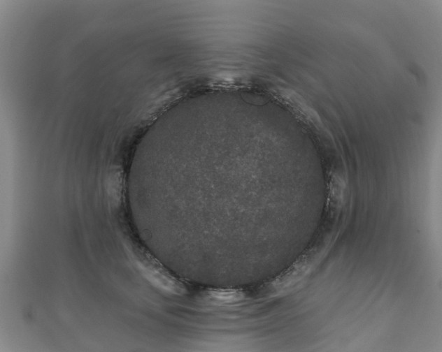 X0000110720659200906191507