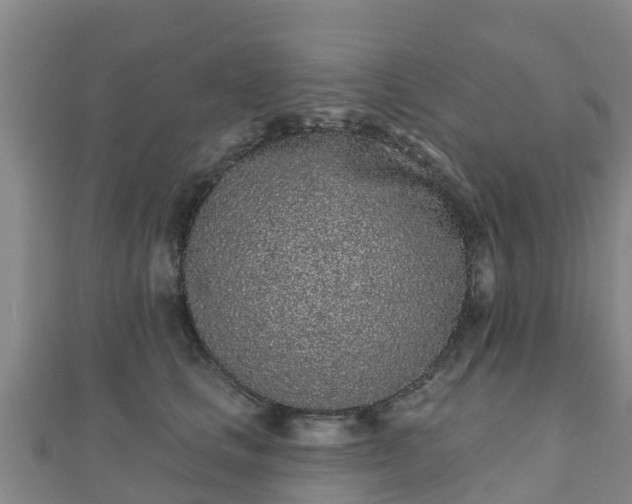 X0000110720661200906191507