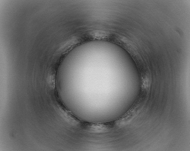 X0000110720666200906191507